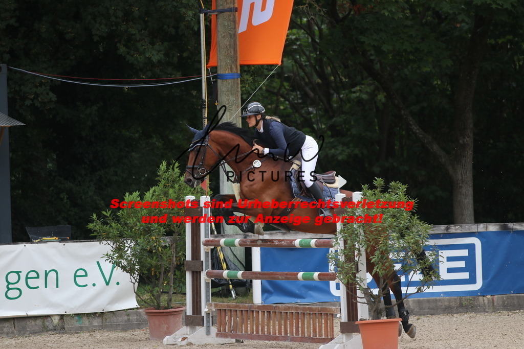 IMG_8007 | lmwpictures - Realisiert mit Pictrs.com