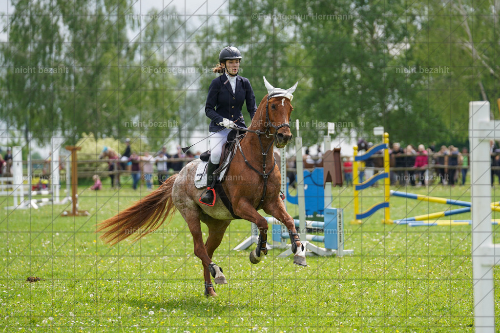 20240509-FAH02360 | Turnierbilder der Turnierfotografen Bayern, Pferdesport Fotografie, Reitsportbilder, Turnier Landberg am Lech, Turnierbilder bayern, Fotoagentur Herrmann