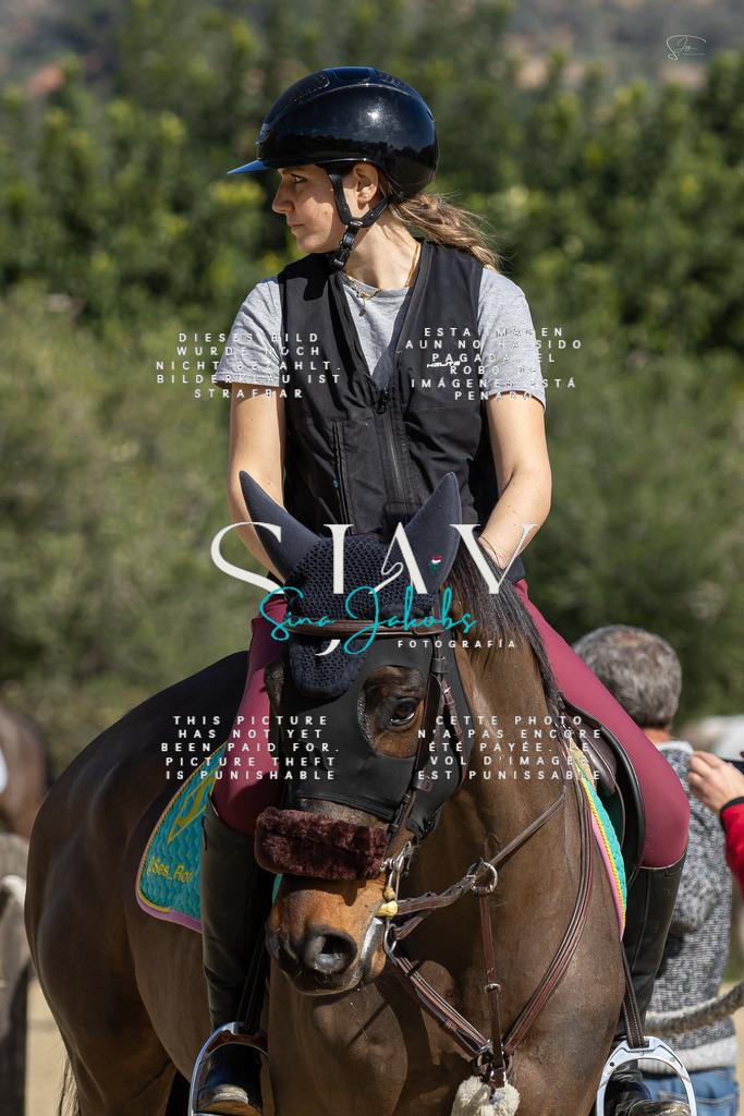 IMG_6550 | s-jay-photography - Realisiert mit Pictrs.com