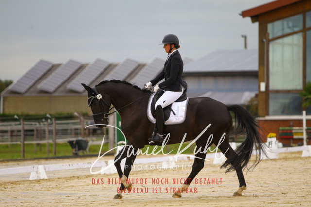 DKP43796 | Turniersportfotografie; Pferdefotografie; Dressurfotografie