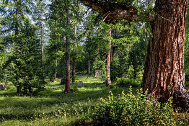 IMG_2021_07_11_5028 | Professionelle Fotografen für Portrait-, Produkt-, Beauty -, Fashion-, kommerzielle - u. Hochzeitsfotografie sowie für Veranstaltungen. Lokal vor Ort oder in lokalen Studios.