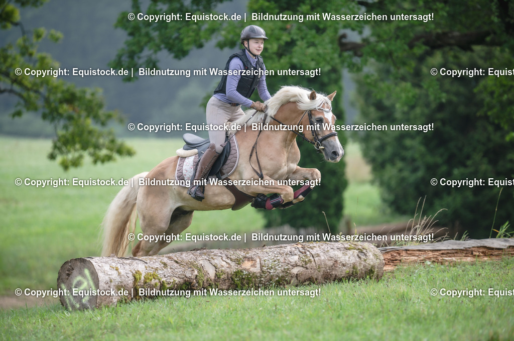 20250726_Vielseitigkeitslehrgang-Marbach_0129 | Foto: Thomas Hartig