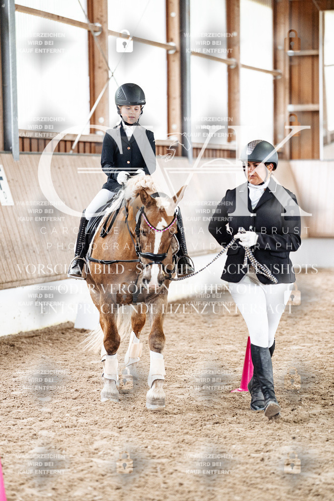 CK902432 | Turnierfotografie Pferdefotografie Trier Rheinland-Pfalz Pferdesport Reitsport Tierfotografie Sportfotografie Pferdevideo Pferdevideografie Equestrianvideography equestrianphotography  - Realized with Pictrs.com