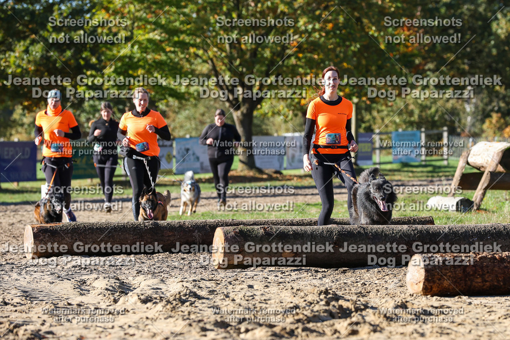 Dog Paparazzi - Strongdog 10-25-2017 | Dog Paparazzi Jeanette Grottendiek Fotografie & Videografie - Realisiert mit Pictrs.com