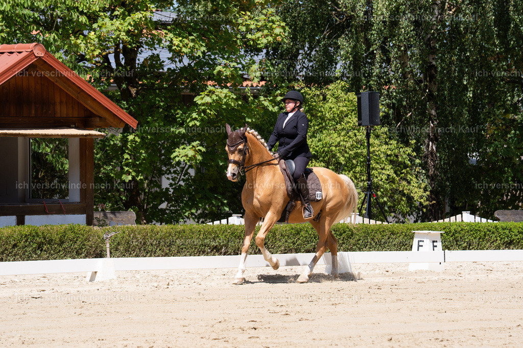 WS_DR_53_sinafilmart_IN08613 | working equitationturnier fotograf videograf stoibphotography marixx film working equitation deutschland reitsport turnierfotografie eventfotografie equestrian events