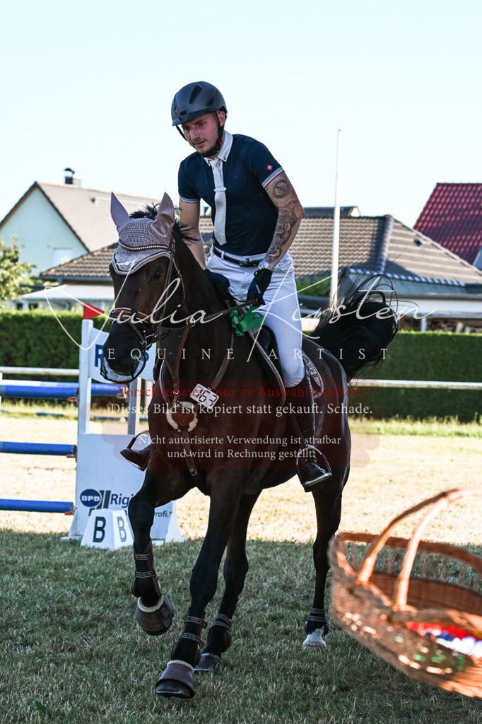 DSC_3215 | Pferde- und Turnierfotografie in Westsachsen. Pferdeportraits, Auftragszeichnungen und intuitive Kunst.