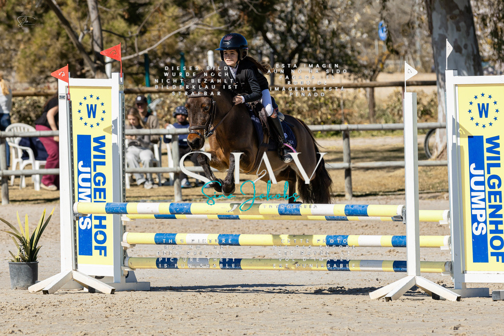 IMG_9176 | s-jay-photography - Realisiert mit Pictrs.com