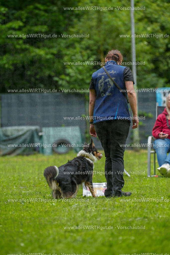 @allesWIRTHgut_Tierfotografie - www.allesWIRTHgut.de - 091821-7R506908 | Professionelle Tierfotografie in Mönchengladbach von Daniel Wirth (allesWIRTHgut). Liebevolle & natürliche Bilder von Hunden & Katzen für unvergessliche Erinnerungen.