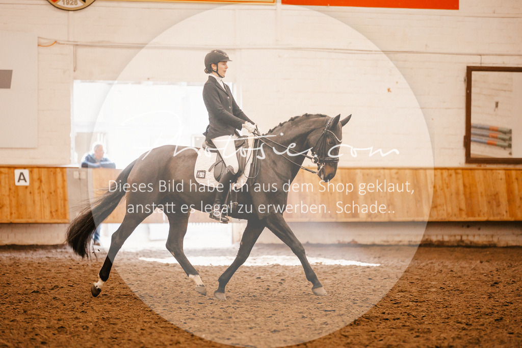 3I6A2387 | Stimmungsvolle Portraits und Reitsportfotografie im Ruhrgebiet und im Münsterland.

Pferdefotografie, Hundefotografie, Tierfotografie, Reportagen, Portraits von Tier und Mensch, Turnierfotografie in Bochum, Recklinghausen, Marl, Haltern am See, Dülmen.. - Realisiert mit Pictrs.com