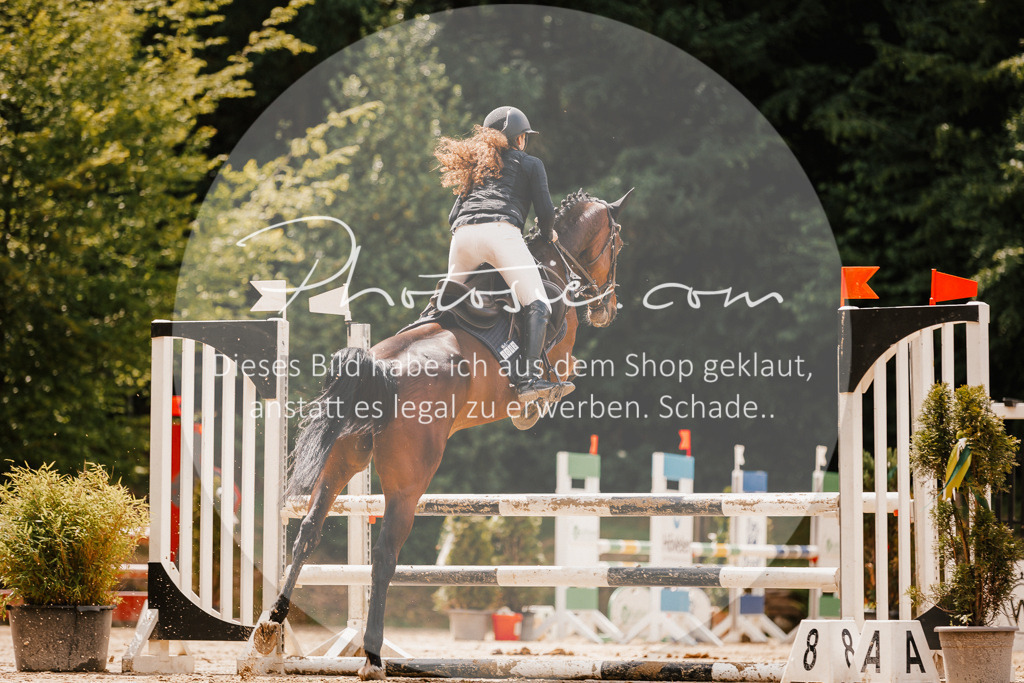3I6A2357 | Stimmungsvolle Portraits und Reitsportfotografie im Ruhrgebiet und im Münsterland.

Pferdefotografie, Hundefotografie, Tierfotografie, Reportagen, Portraits von Tier und Mensch, Turnierfotografie in Bochum, Recklinghausen, Marl, Haltern am See, Dülmen.. - Realisiert mit Pictrs.com