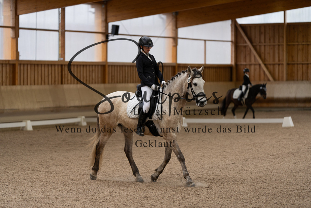 A7507044 | Pferdefotograf