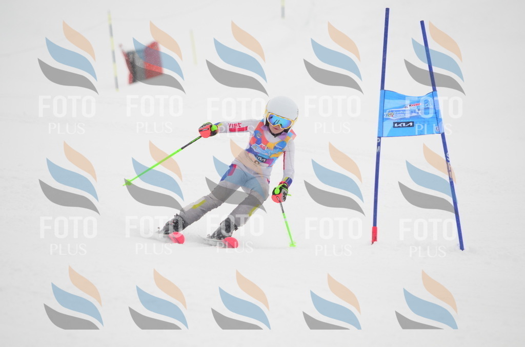 C0576 | holidayphoto