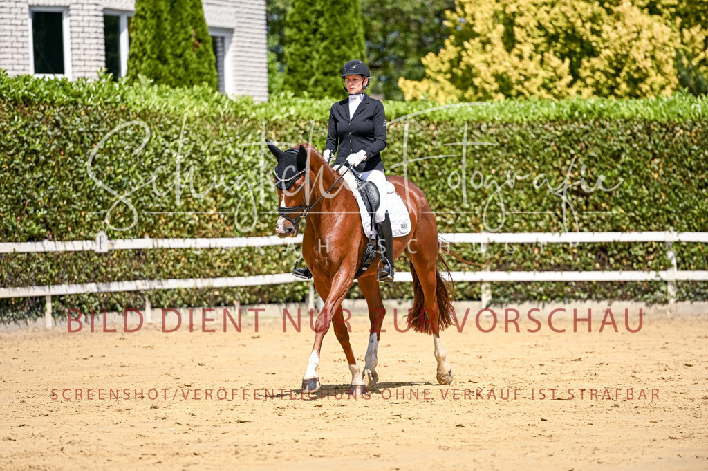 Schugtsche-Aluta25-49.Dressurpferdeprf.A-158 | Schugtsche Fotografie - Realisiert mit Pictrs.com