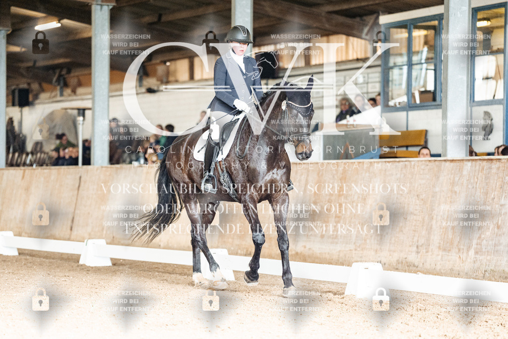 CK902290 | Turnierfotografie Pferdefotografie Trier Rheinland-Pfalz Pferdesport Reitsport Tierfotografie Sportfotografie Pferdevideo Pferdevideografie Equestrianvideography equestrianphotography  - Realisiert mit Pictrs.com