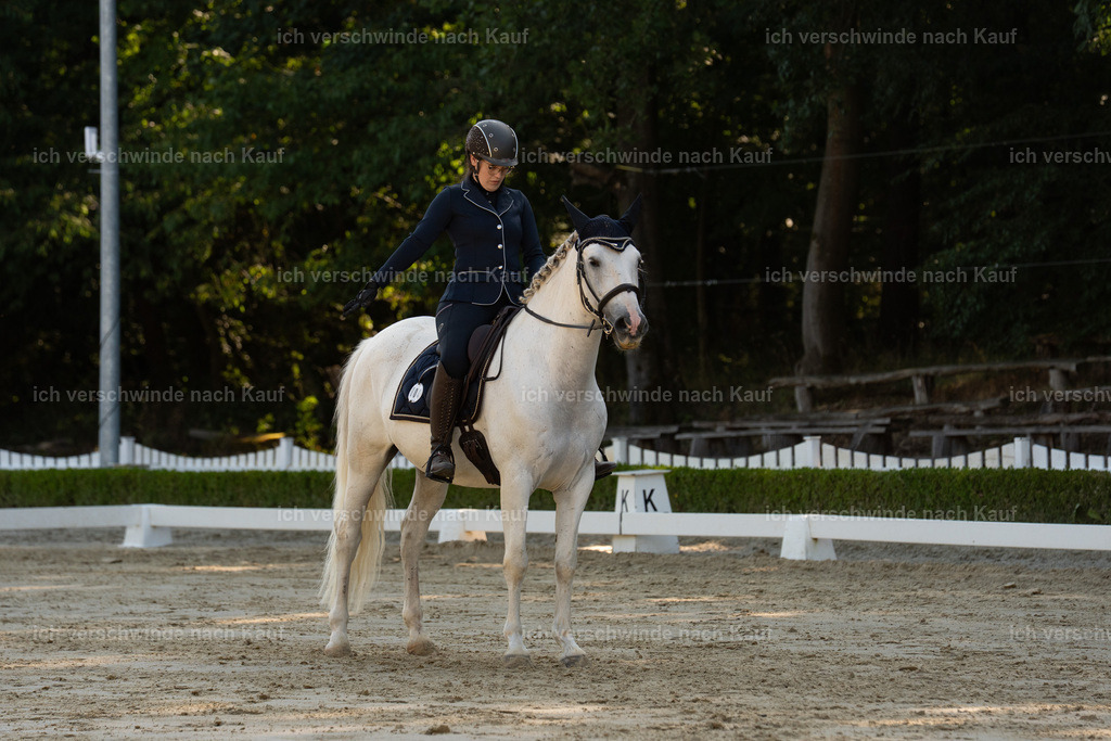WA_DR_4_SinaFilmArt_IN00926 | working equitationturnier fotograf videograf stoibphotography marixx film working equitation deutschland reitsport turnierfotografie eventfotografie equestrian events