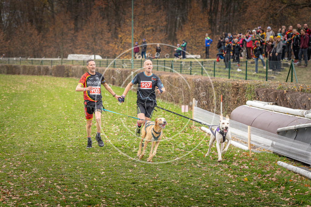 CaniXpix_DV3A6993 | Hundefotografie, Tierfotograf, Pfotenfotografie, Fotoshooting Hund, Hunde Portrait, Hundesport, Hundeportraits, Heideshooting, Hunde, Sportfotograf, Hundefotograf, Turnierhundsport, THS,  - Realisiert mit Pictrs.com