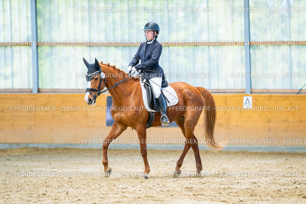 DSC07062 | Pferdegrafie