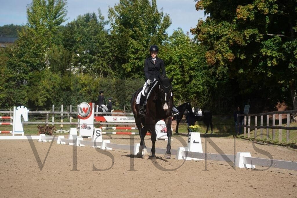 rveinoedsamstag (658) | d.tail Visions - Shop - Realisiert mit Pictrs.com