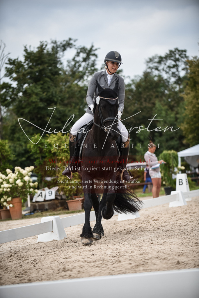 DSC_8334 | Pferde- und Turnierfotografie in Westsachsen. Pferdeportraits, Auftragszeichnungen und intuitive Kunst.