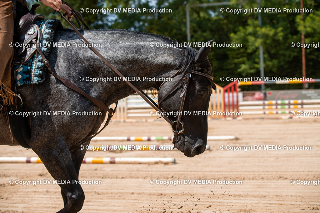 ZS2_8248 | dv-media-shop - Realisiert mit Pictrs.com