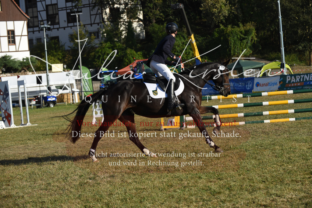 DSC_5062 | Pferde- und Turnierfotografie in Westsachsen. Pferdeportraits, Auftragszeichnungen und intuitive Kunst.