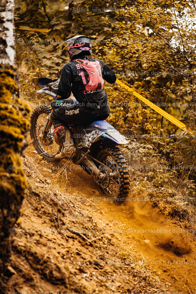 E68A4225 | blick_win_kel