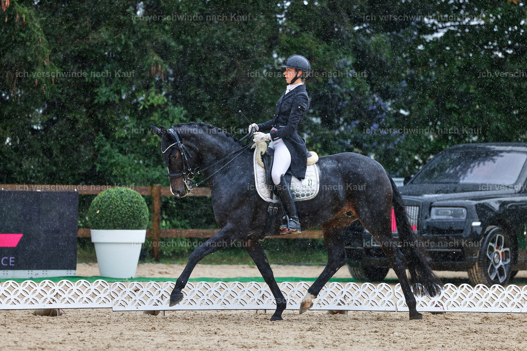 8_1-027-Klasse S_  -StoibPH-4004 | working equitationturnier fotograf videograf stoibphotography marixx film working equitation deutschland reitsport turnierfotografie eventfotografie equestrian events