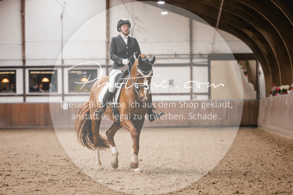 3I6A8937 | Stimmungsvolle Portraits und Reitsportfotografie im Ruhrgebiet und im Münsterland.

Pferdefotografie, Hundefotografie, Tierfotografie, Reportagen, Portraits von Tier und Mensch, Turnierfotografie in Bochum, Recklinghausen, Marl, Haltern am See, Dülmen.. - Realisiert mit Pictrs.com
