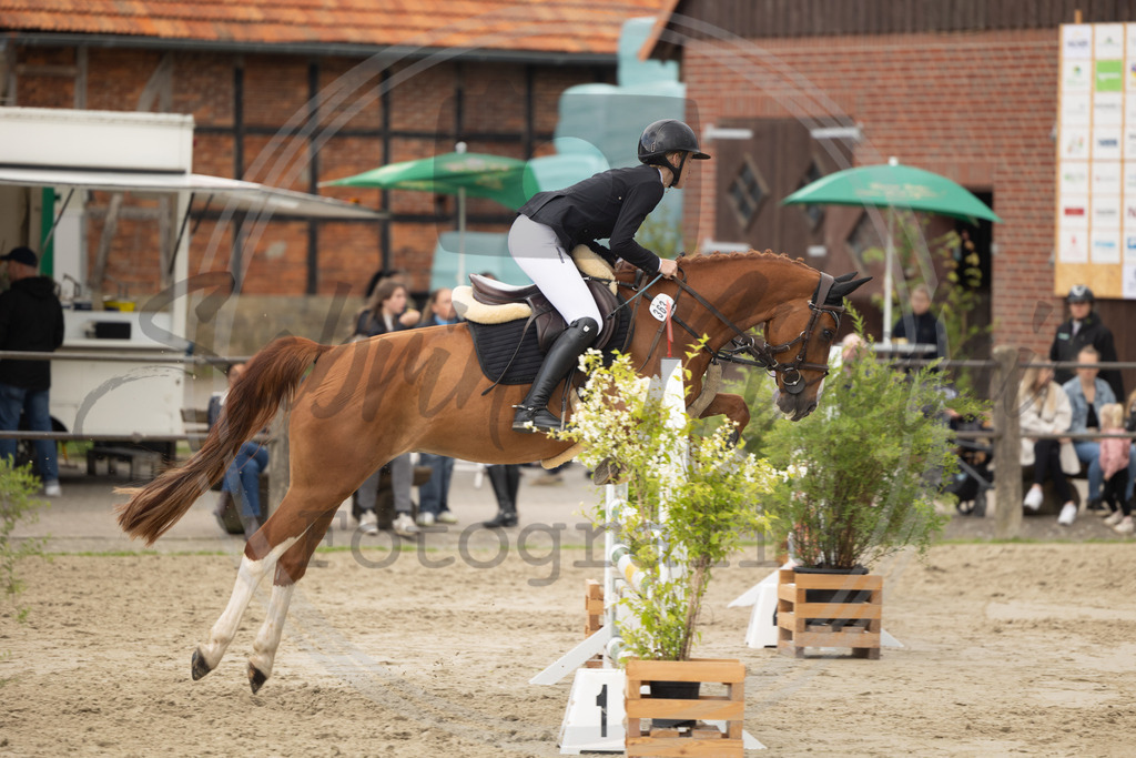 994A9620 | sabrinanicolaifotografie - Realisiert mit Pictrs.com