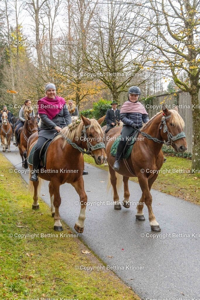 LL25-246 | foto-bettina-krinner - Realisiert mit Pictrs.com