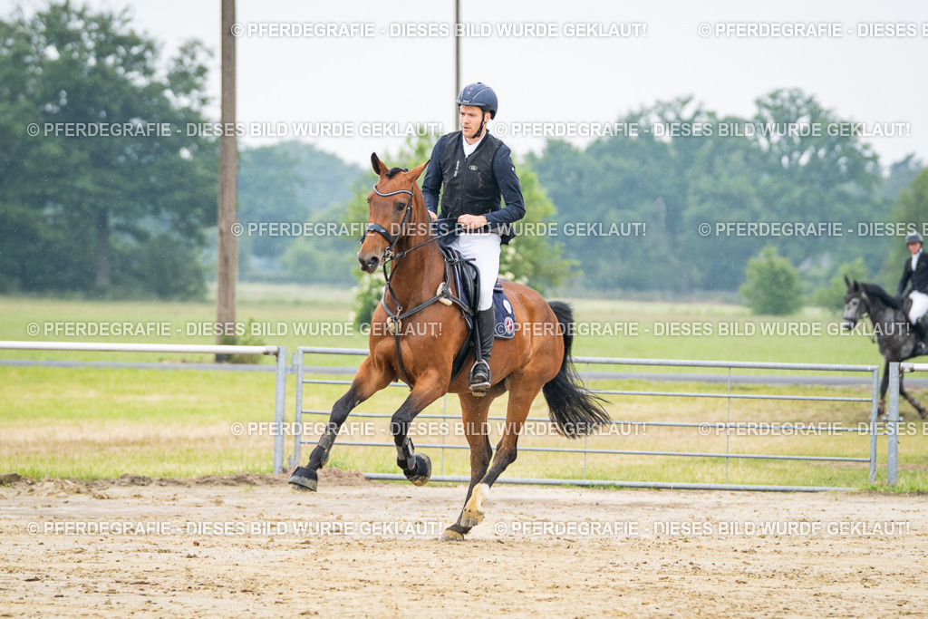 DSC09681 | Pferdegrafie