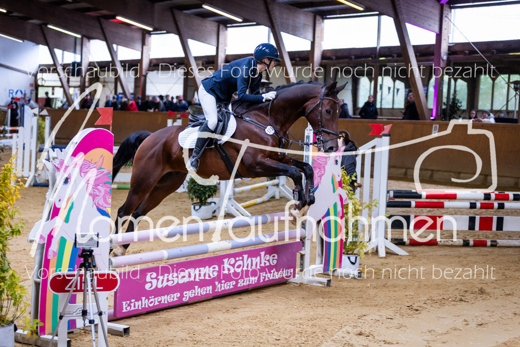 Sth-A-Springen-005 | MomenTaufnahmen Pferdesportfotos