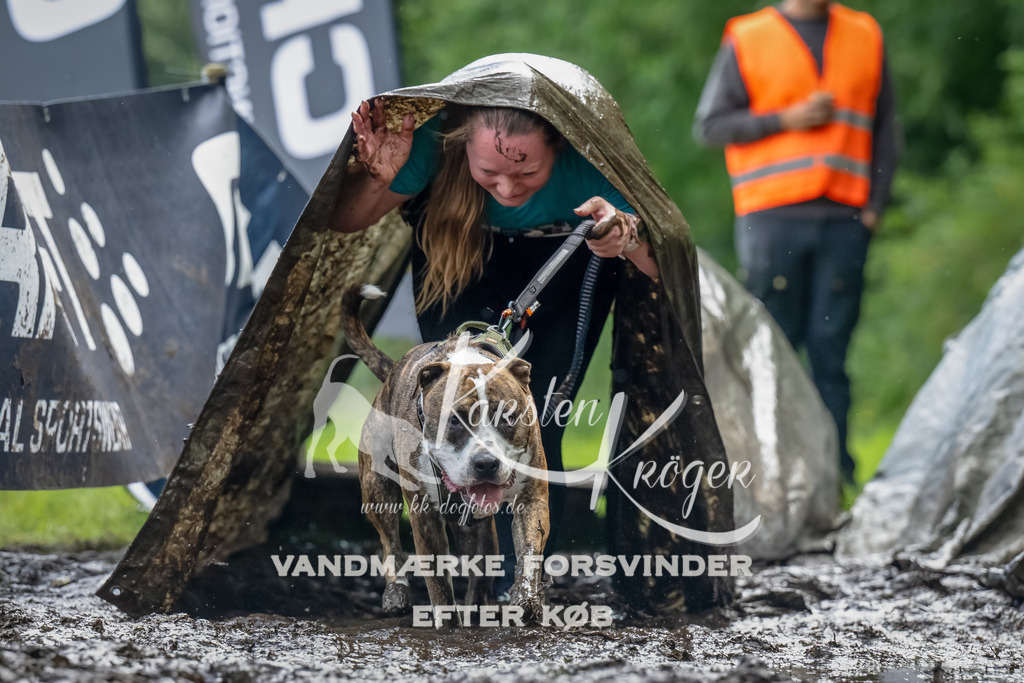 1147_ZZ94242-Bearbeitet | kk-dogfotos