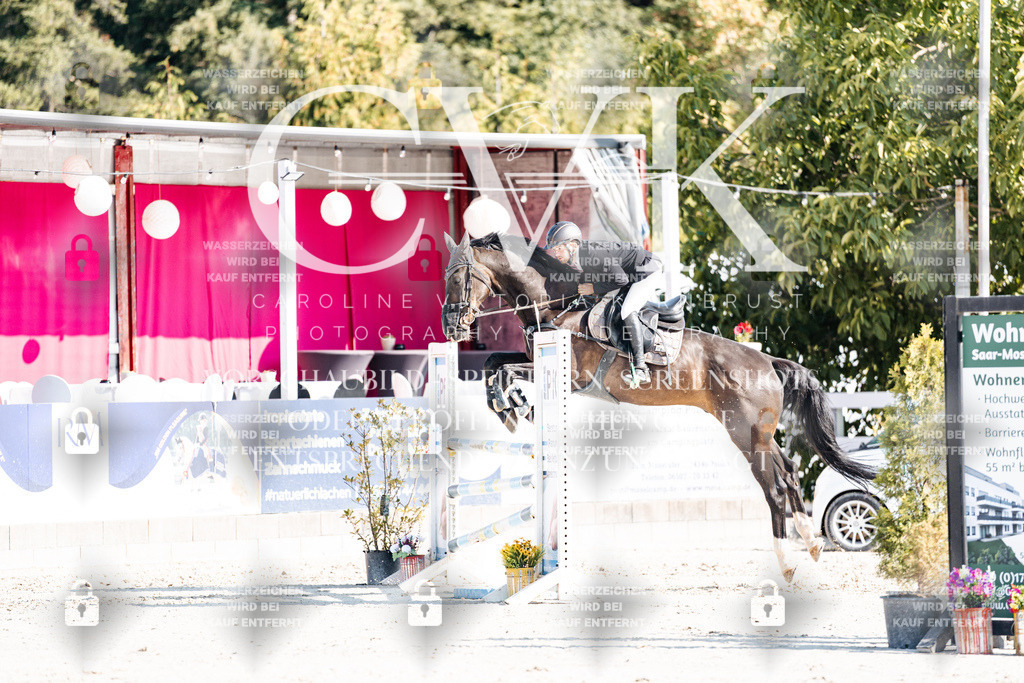 CK901898 | Turnierfotografie Pferdefotografie Trier Rheinland-Pfalz Pferdesport Reitsport Tierfotografie Sportfotografie Pferdevideo Pferdevideografie Equestrianvideography equestrianphotography  - Realisiert mit Pictrs.com