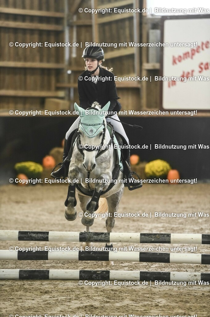 20231029_07_Stilspring-WB-50cm_0018 | Foto: Thomas Hartig