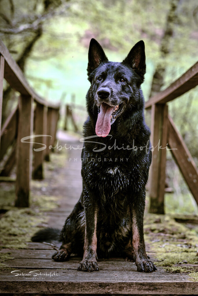 Kami_24-04-082024_04_8_DSCF1016 | People- und Tierfotografie, Imageaufnahmen, Veranstaltungsfotografie und Wandbilder aus der Natur ★ Made in Germany ✔️ Druck + Downloads ✔️ Naturfotografie in Top Qualität ★ schneller Versand, weltweite Lieferung! - Realisiert mit Pictrs.com