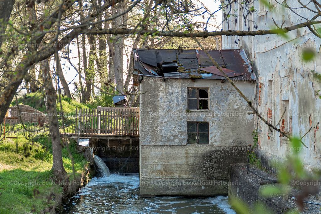 P1140555 | beatekidd-fotografie - Realisiert mit Pictrs.com