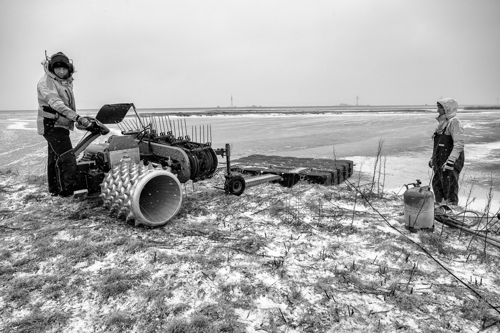 Mäharbeiten im Rickelsbüller Koog © Holger Rüdel | Der Online-Shop von Holger Rüdel. Ausgewählte Fotografien als FineArt-Prints bestellen: Bildreportagen, Landschaften, Wildlife, History, Infrarot-Motive in Schwarzweiß und Verschiedenes.  - Realisiert mit Pictrs.com