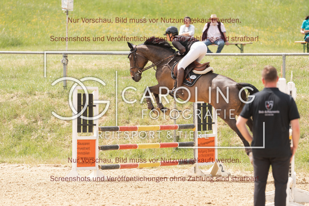 DSC06726 | Springturnier_Ehingen_Mai_2026, Carla_Schweizer, Icarus_Z