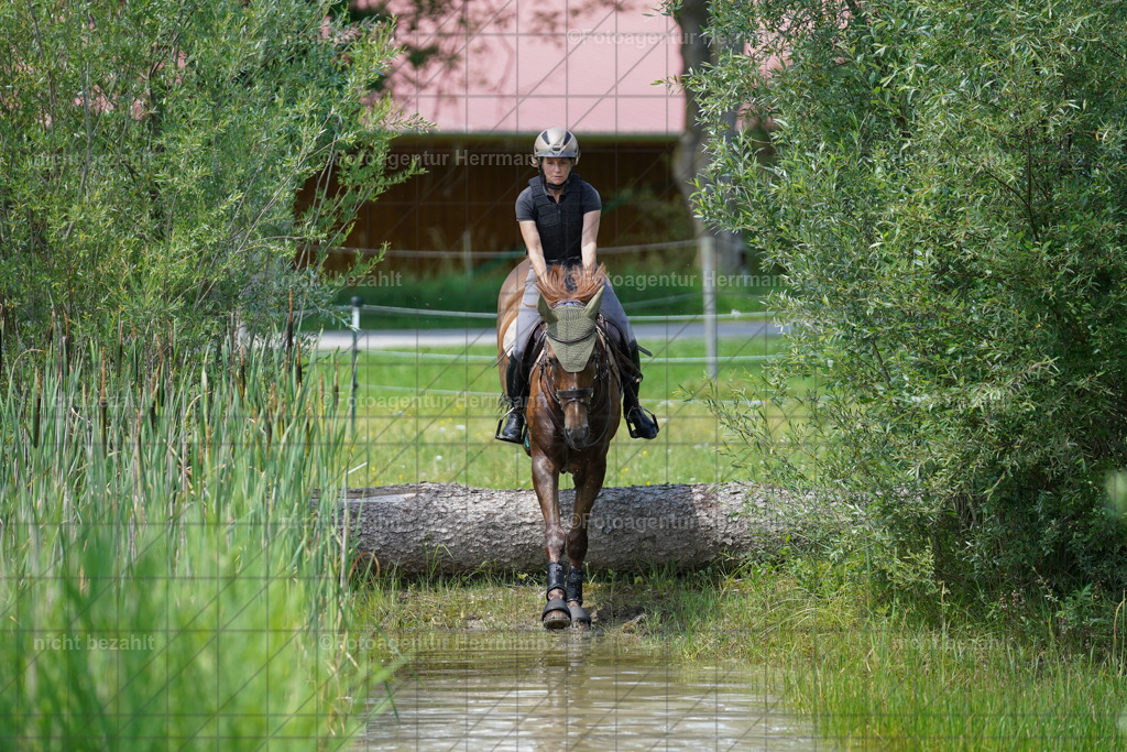 20240622-FAH07165 | Turnierfotografen Bayern, Reitsportbilder aus dem Geländekurs mit Felix Etzel auf dem Gut Waitzacker 2024