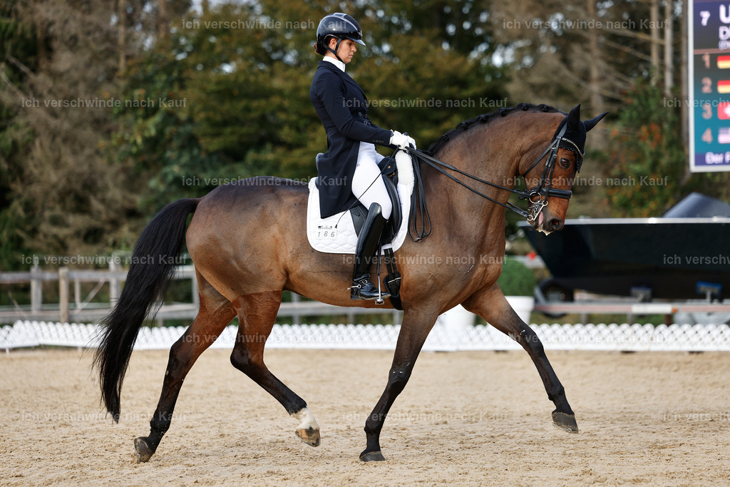 13-186-S___ -StoibPH-7016 | working equitationturnier fotograf videograf stoibphotography marixx film working equitation deutschland reitsport turnierfotografie eventfotografie equestrian events