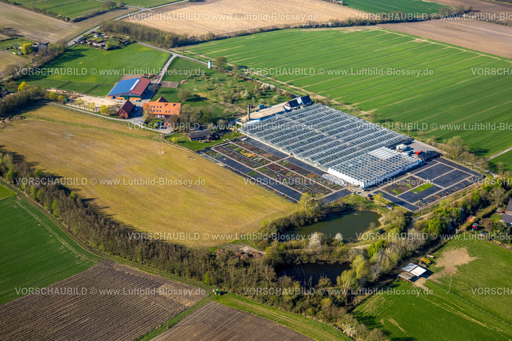 Nordkirchen250400674Capelle | Luftbild, Gartenbaubetrieb Heutinck Pflanzen GmbH, Gewächshaus und Blumenbeet, Südkirchen, Nordkirchen, Münsterland, Nordrhein-Westfalen, Deutschland