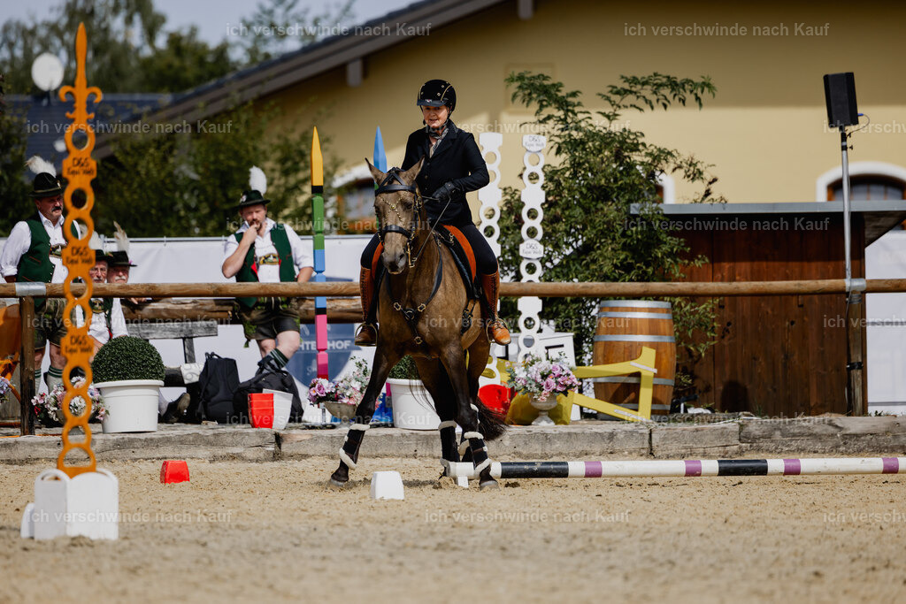 Katja7_FHC2025-20221 | working equitationturnier fotograf videograf stoibphotography marixx film working equitation deutschland reitsport turnierfotografie eventfotografie equestrian events