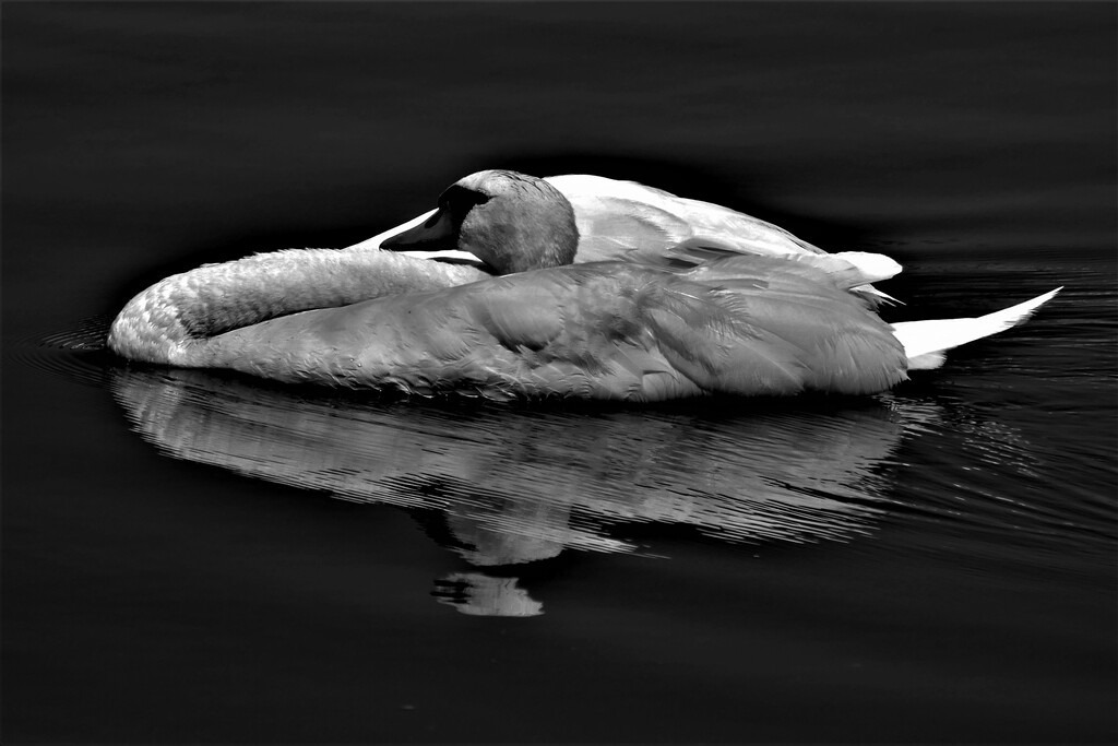 P3790028_c | Annaeherungen - Realisiert mit Pictrs.com