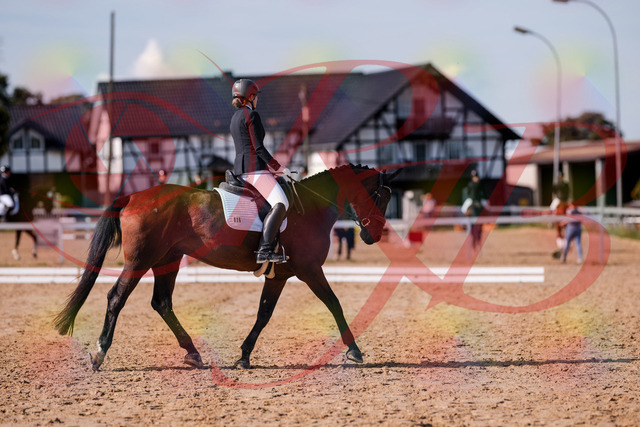 2026_10_03_Siefer-Hof_130221_Z81_56317772 | Professionelle Reitsport-, Turnier- und Eventfotografie von Robert Broda. Galerien mit ausgewählten und bearbeiteten Bildern direkt online ansehen und bestellen.