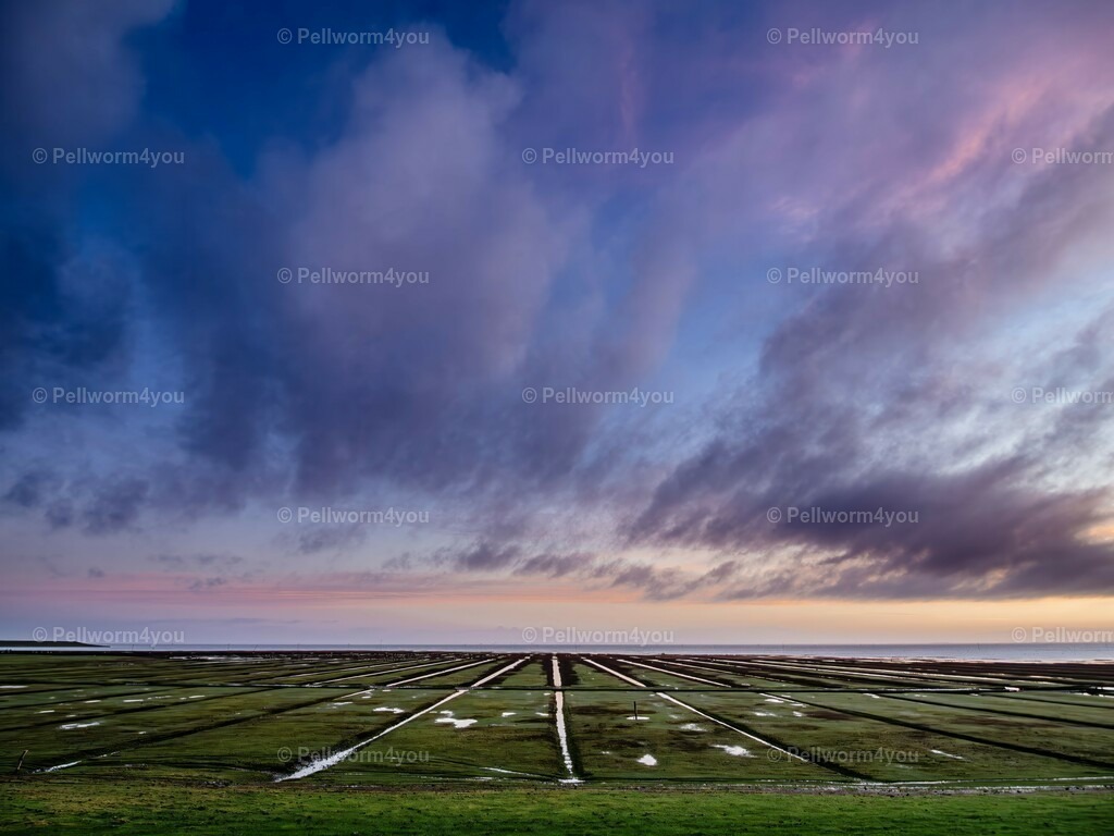 pellworm-kalender-2024-09-denoise-enhance-2x-sharpen | Pellwormer Bilder und Fotos als Poster, auf Leinwand mit Keilrahmen, hinter Acrylglas, auf Alu-Dibond oder Forex-Platte und vieles mehr. Zum verschenken, für die Ferienwohnung oder für zu Hause. - Realisiert mit Pictrs.com