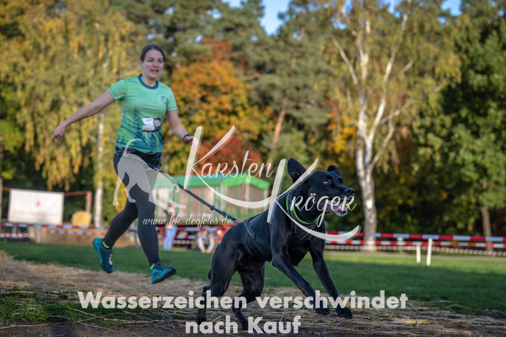 0927_ZZ90578 | kk-dogfotos