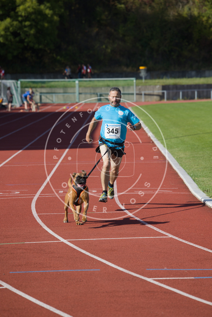 0L8A9105 | Hundefotografie, Tierfotograf, Pfotenfotografie, Fotoshooting Hund, Hunde Portrait, Hundesport, Hundeportraits, Heideshooting, Hunde, Sportfotograf, Hundefotograf, Turnierhundsport, THS,  - Realisiert mit Pictrs.com