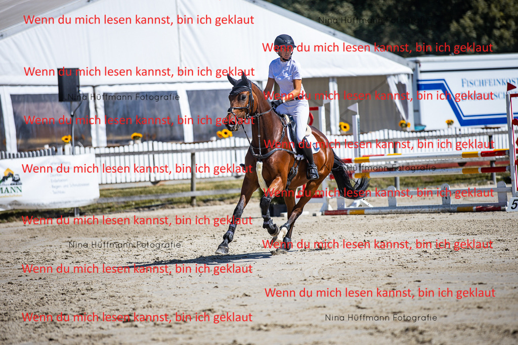 BK1A5382 | Turnierbilder Turnierfotos Nina Hüffmann Turnierfotografie Pferdefotografie Tierzeichnung Haustierzeichnung Pferdezeichnung Hundezeichnung Videograf  - Realisiert mit Pictrs.com