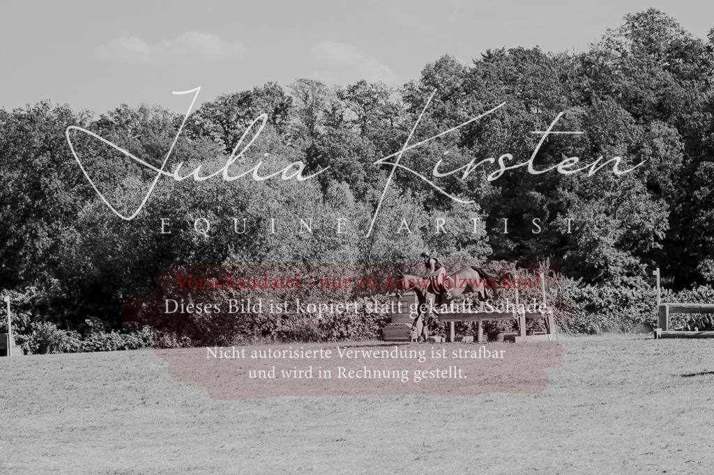 DSC_8522-2 | Pferde- und Turnierfotografie in Westsachsen. Pferdeportraits, Auftragszeichnungen und intuitive Kunst.